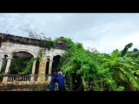 Видео: Уборка заброшенного старого дома, от которого остался только скелет