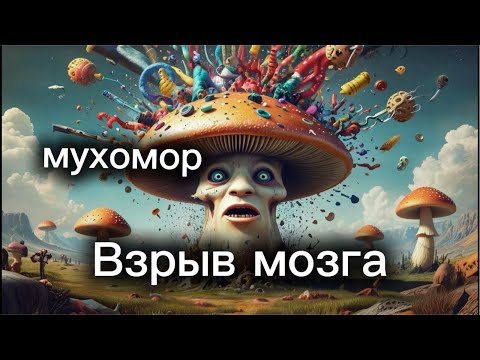 Видео: КАК СОБРАТЬ СЕБЯ ПОСЛЕ МУХОМОРА/Разговор с психотерапевтом