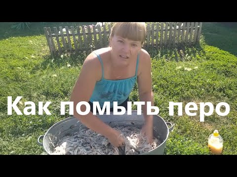 Видео: Как помыть перо.