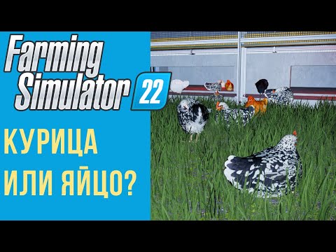 Видео: 🐣 Всё о курицах в Farming Simulator 22