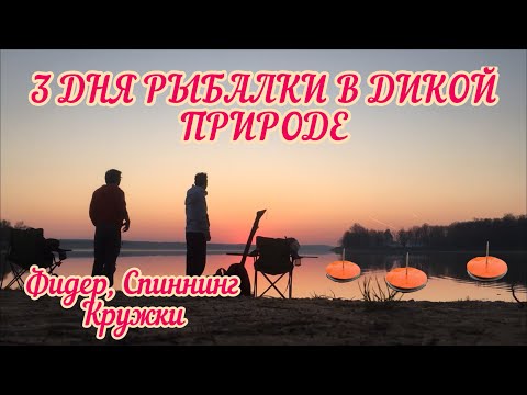 Видео: 3 дня на ЯУЗСКОМ водохранилище. Ловля всего подряд и отдых от цивилизации