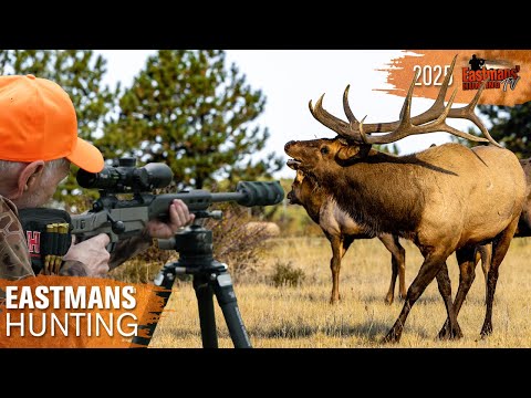 Видео: Список желаний: охота на лося в Колорадо | Eastmans' Hunting TV