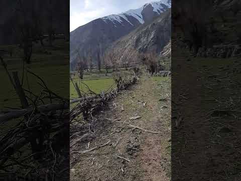 Видео: Деҳаи Ғориф  ҷ.Боқи Раҳимзода   (Камароб)