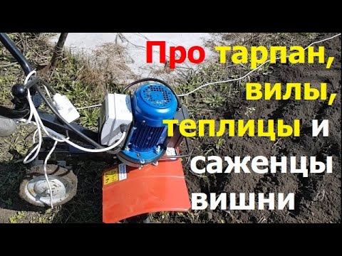 Видео: 230411 Электро культиватор Тарпан вилы копания земли теплица Капелька вскопать вилами саженцы вишни