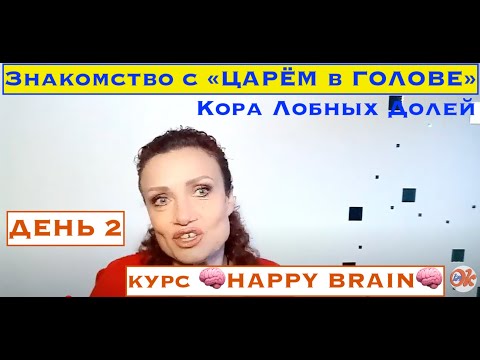 Видео: 🧠 #День2 эксклюзивного курса HAPPY BRAIN 🧠Знакомство с ЦАРЁМ в ГОЛОВЕ/Оптимизируем Кору Любных Долей