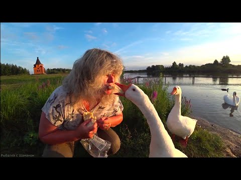 Видео: "АЛЁШКИНЫ ПРУДЫ"   ОДНО ИЗ САМЫХ КРАСИВЫХ МЕСТ ДЛЯ ОТДЫХА И РЫБАЛКИ В КАЛУЖСКОЙ ОБЛАСТИ.