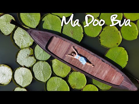 Видео: ИНСТАГРАМНОЕ МЕСТО НА ПХУКЕТЕ Ma Doo Bua