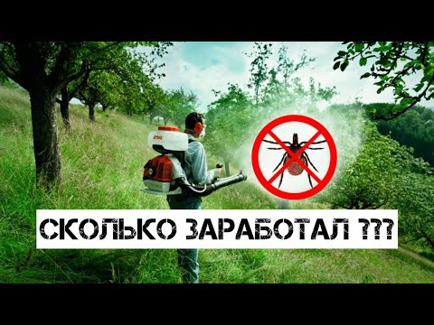 Видео: Бизнес на ОБРАБОТКЕ клещей и комаров, СКОЛЬКО ЗАРАБОТАЛ ЗА МЕСЯЦ?