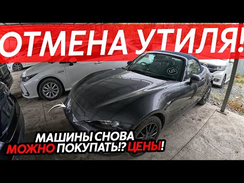 Видео: УТИЛЬ СБОР ОТМЕНИЛИ❗️МАШИНЫ СНОВА МОЖНО ПОКУПАТЬ🔥ОБЗОР НОВЫХ ЦЕН👍