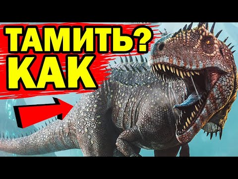 Видео: Carcharodontosaurus в ARK Survival Evolved! НОВАЯ ЖИВКА КАРХАРОДОНТОЗАВР ПРИРУЧЕНИЕ В АРК!