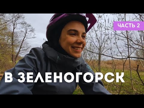 Видео: Едем в Зеленогорск / Ленобласть - день 2
