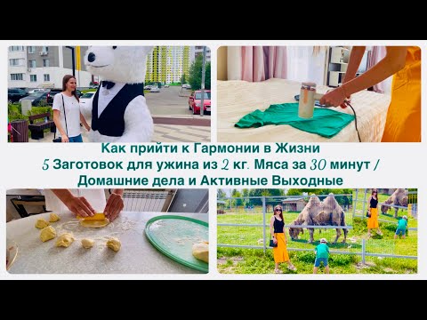 Видео: Как прийти к Гармонии в Жизни / 5 Заготовок для ужина из 2 кг. Мяса за 30 минут / Активные выходные