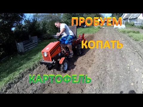 Видео: Пробуем копать картофель