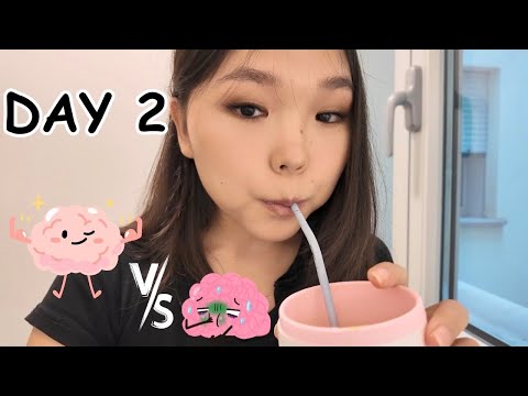 Видео: DAY 2 - Daily Vlog 🇮🇹| Хоол бид 2-ын хортой харилцаа 🥹💔