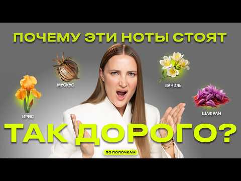 Видео: Самые дорогие ноты в парфюмерии | ПО ПОЛОЧКАМ