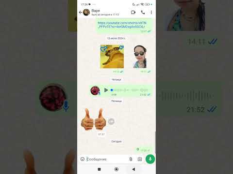 Видео: 24 июля 2024 г.