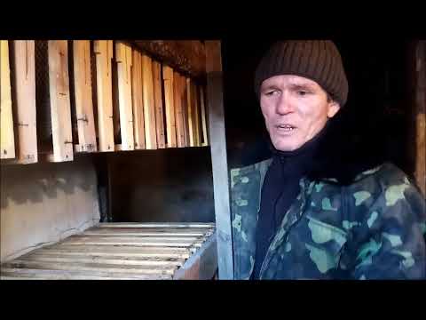 Видео: Как хранить суш от моли. Проверяю состояние рамок в сотохранилище