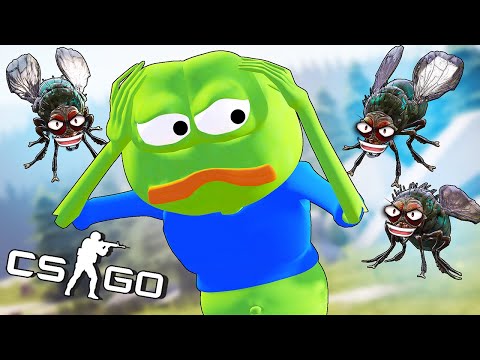 Видео: МУХЫ ДУМАЛА ЧТО ПЕПЕ ЭТА ХАРАЩО - МАНЬЯКЕ КСГО