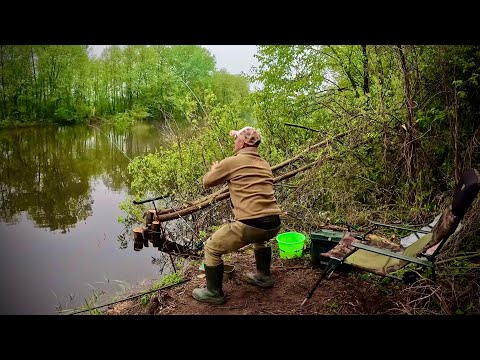 Видео: СУЛА КИПИТЬ від РИБИ🐟🐟🐟 Такого ХОДУ ЛЯЩА ще не було! Рибалка з НОЧЁВКОЙ!