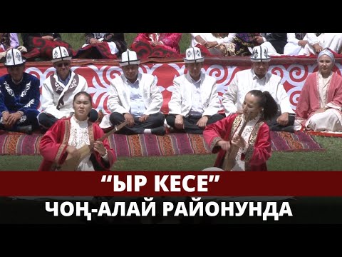 Видео: Чоң-Алай районунун шайырлары // ЫР КЕСЕ