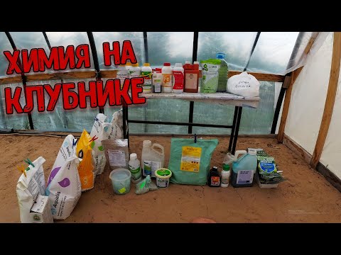 Видео: Химия на клубнике защита и кормление