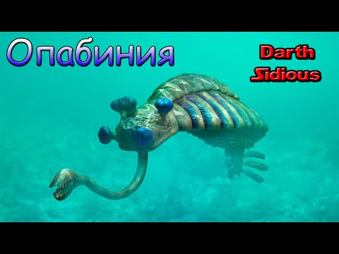 Видео: Развитие жизни на Земле (The Evolution of Life) - Опабиния (Opabinia regalis)