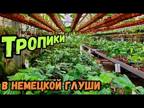 Видео: Что спрятано в немецкой глубинке... Полный обзор питомника  ECUAGENERA EUROPE