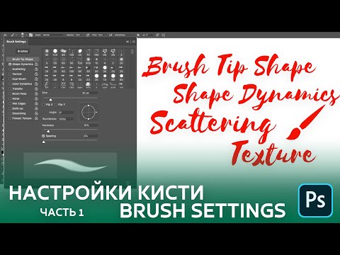 Видео: Настройки кисти в меню "Brush Settings" - Brush Tip Shape, Shape Dynamics, Scattering, Texture.