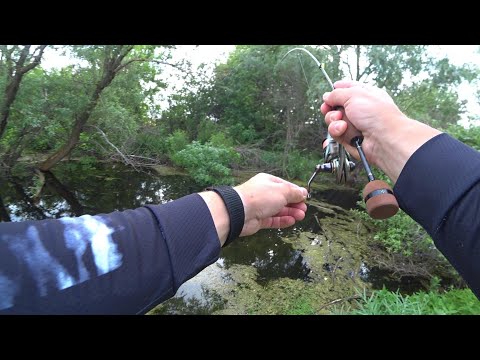 Видео: МОРМЫШИНГ НА МИКРОРЕЧКЕ! В ЭТИХ ДЕБРЯХ ПОЛНО РЫБЫ! шнур vs леска.