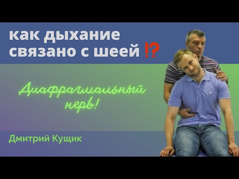 Видео: КАК ДЫХАНИЕ СВЯЗАНО С ШЕЕЙ?! | Диафрагмальный нерв | Кинезиолог Дмитрий Кущик