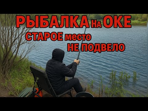 Видео: РЫБАЛКА на ОКЕ СЛАБОНЕРВНЫМ не СМОТРЕТЬ СТАРОЕ МЕСТНО не ПОДВЕЛО