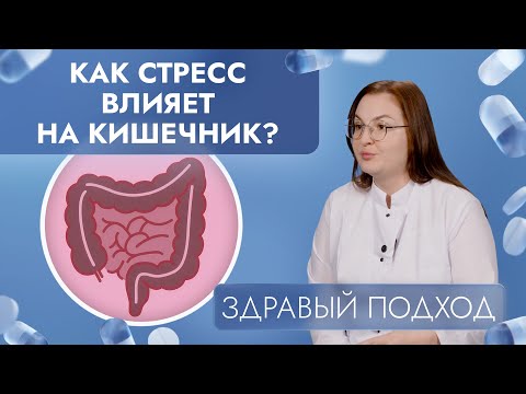 Видео: Как стресс влияет на ЖКТ? Синдром раздражённого кишечника | Здравый подход (2025)