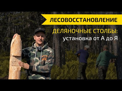 Видео: ДЕЛЯНОЧНЫЕ СТОЛБЫ ПО ГОСТ: параметры, надписи и установка