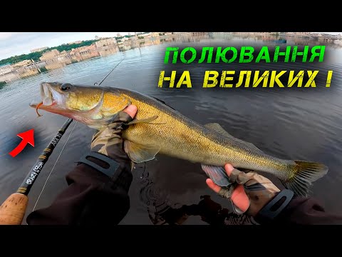 Видео: ✅ЛУПИТЬ ДАЙ БОЖЕ! ВЕЛИКІ РИБИ НА ДНІПРІ✅