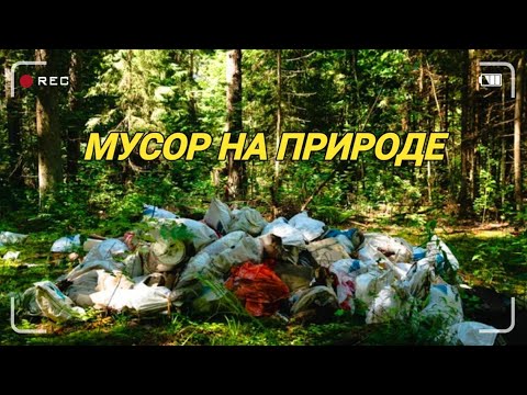 Видео: ЛЮДИ-СВИНИ НА ПРИРОДЕ