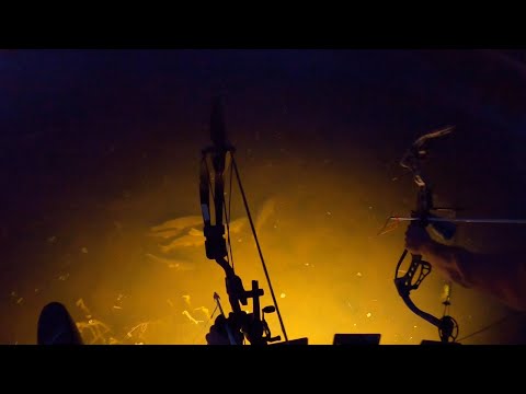 Видео: ЛОВЛЯ ЛОВЛИ ЛУКОМ НА ЗАВОДНУЮ ВОДУ Река Миссисипи (150 РЫБ ЗА НОЧЬ!)