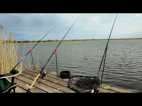 Видео: ЛОВЛЯ КАРПА НА ФИДЕР ВЕСНОЙ. ФЕЕРИЧЕСКАЯ РЫБАЛКА ПОЛУЧИЛАСЬ
