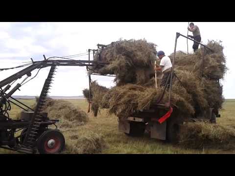 Видео: Т 16 стогомет