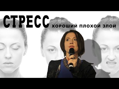 Видео: Стресс: хороший, плохой, злой // Лекция Евгении Тимоновой