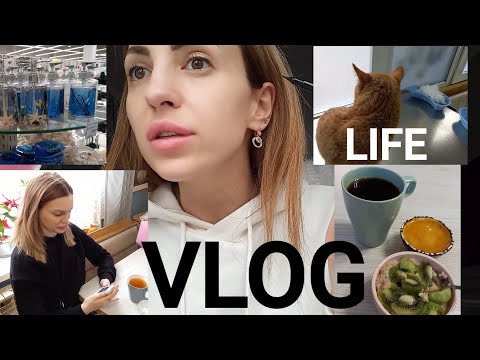 Видео: ❤ VLOG ❤ ЧТО С КОТОМ?🔥SILENA В ГОСТЯХ🔥 МОШЕННИКИ АТАКУЮТ 🔥ШОППИНГ❤️ НОВИНКИ ❤️ЗАВТРАК 🕑🙌🤍 #НАША ТАНЯ