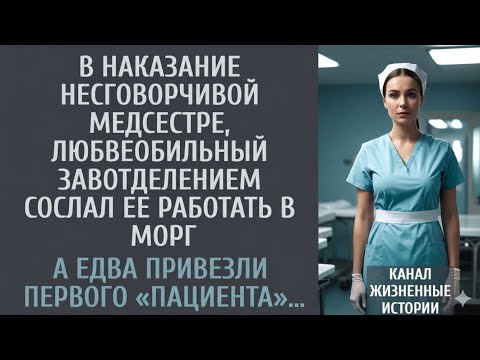 Видео: Она боялась людей, но спасла жизнь врачу»