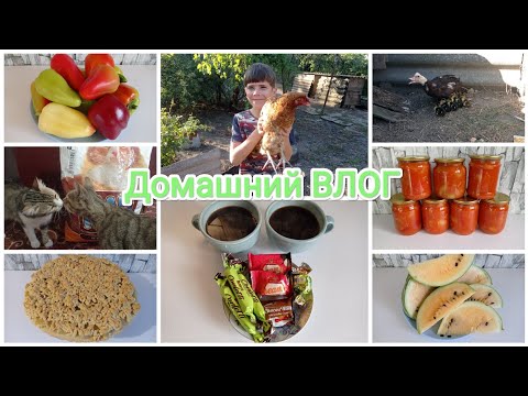 Видео: Домашний ВЛОГ. Пополнение в семье. Вкусные заготовки из перца. Конфитюр из дыни 