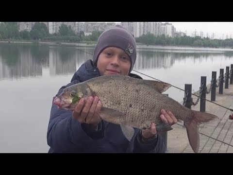 Видео: Трофейная рыбалка на Москве реке.