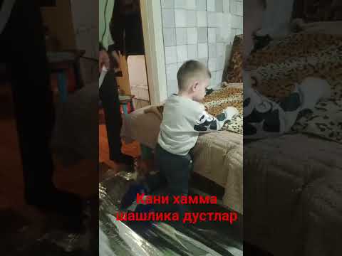 Видео: бугун #rek  ишимизни якини #music  ина оллох #live