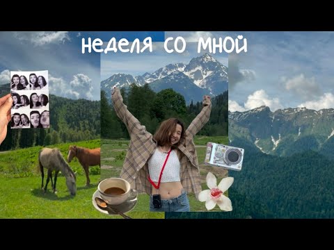 Видео: дневник южанки: показываю Сочи и делаю то, что люблю 🐚🌴🌊
