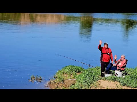 Видео: Рыбалка на Днепре с Двумя Ночевками. Фидер, Мощные Поклевки, Вкусные драники. Рыбалка на Фидер.