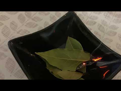 Видео: Что будет если поджечь лавровый лист дома. Это работает, попробуйте