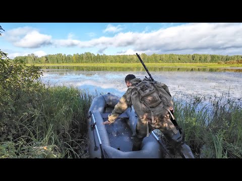 Видео: ОХОТА НА УТКУ С ПОДХОДА. ОТКРЫЛСЯ И УДАЧНО. МЕТКАЯ СТРЕЛЬБА ЗАЛОГ УСПЕХА. О СНАРЯЖЕНИИ ДЛЯ ОХОТЫ.