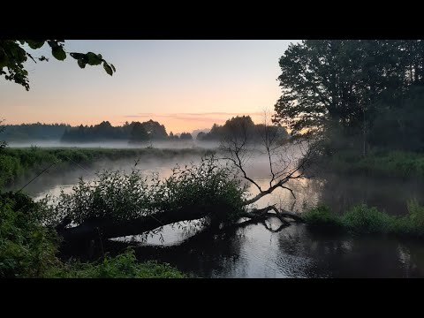 Видео: Экспедиция. В поисках новых мест на сома. Рыбалка в Беларуси.