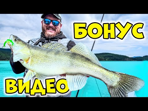 Видео: БОНУС видео! ДЖИГ Риболов на язовир Искър 🎣